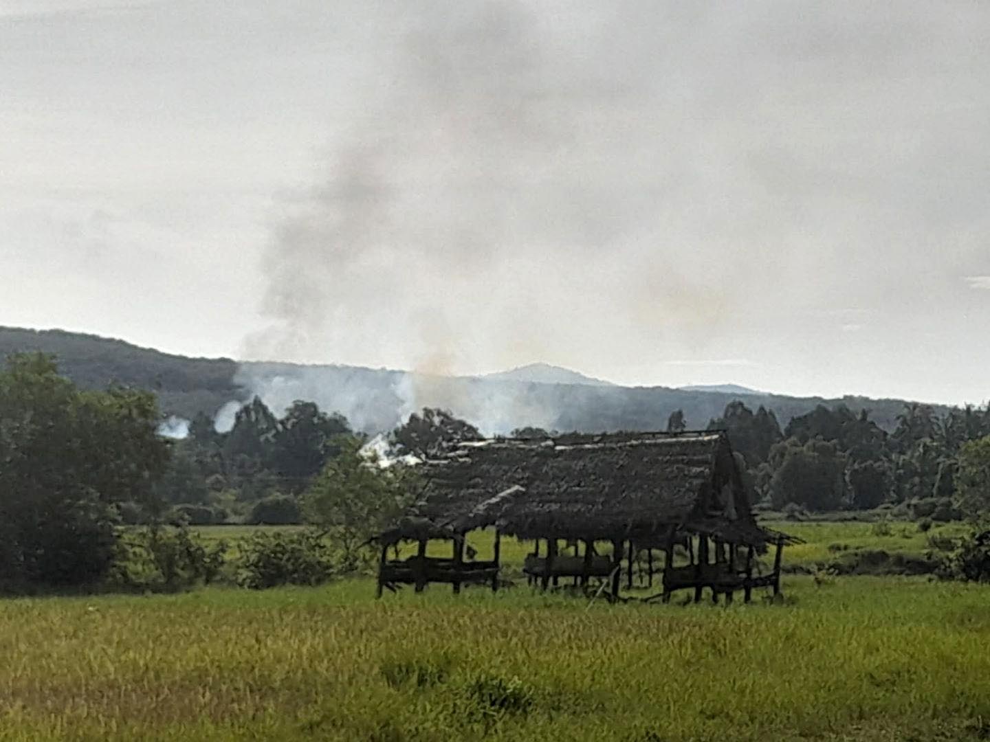 စစ်တပ်က ပုလောမြို့နယ်ကို စစ်ကြောင်းထိုးပြီး နေအိမ်များ မီးရှို့ဖျက်ဆီး