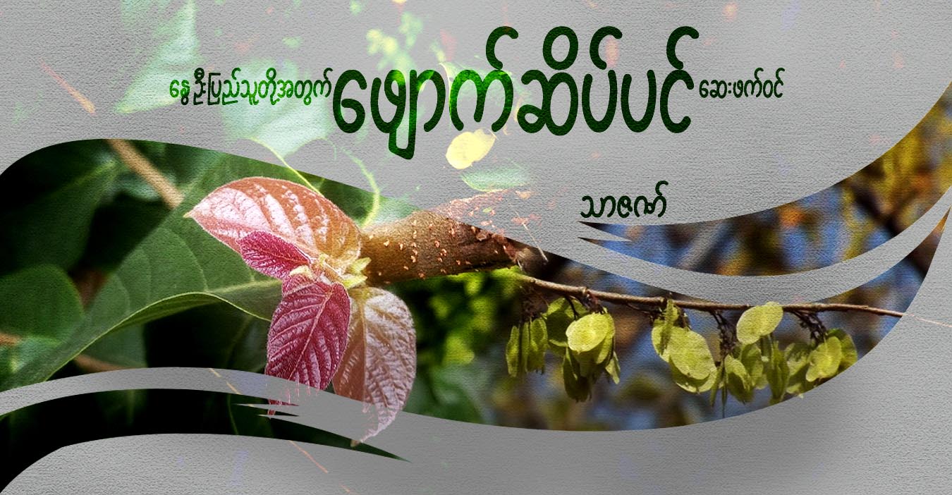 နွေဦးပြည်သူတို့အတွက် ဖျောက်ဆိပ်ပင် ဆေးဖက်ဝင်