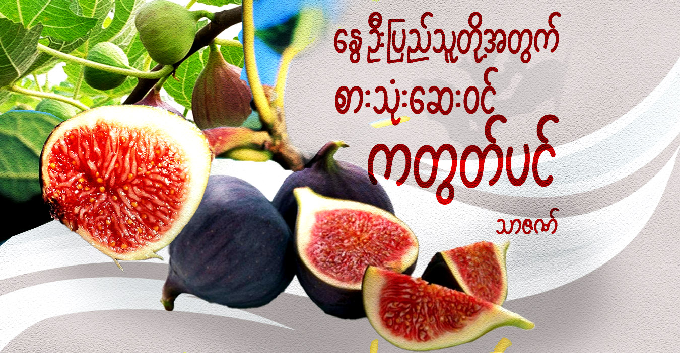 နွေဦးပြည်သူတို့အတွက် စားသုံးဆေးဝင် ကတွတ်ပင် 