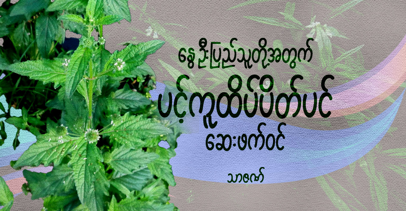 နွေဦးပြည်သူတို့အတွက် ပင့်ကူထိပ်ပိတ်ပင် ဆေးဖက်ဝင်