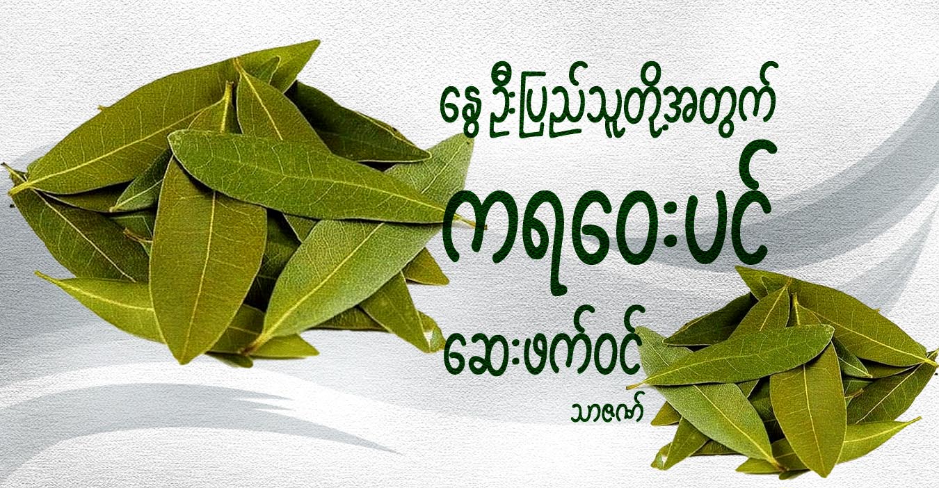 နွေဦးပြည်သူတို့အတွက် ကရဝေးပင် ဆေးဖက်ဝင်