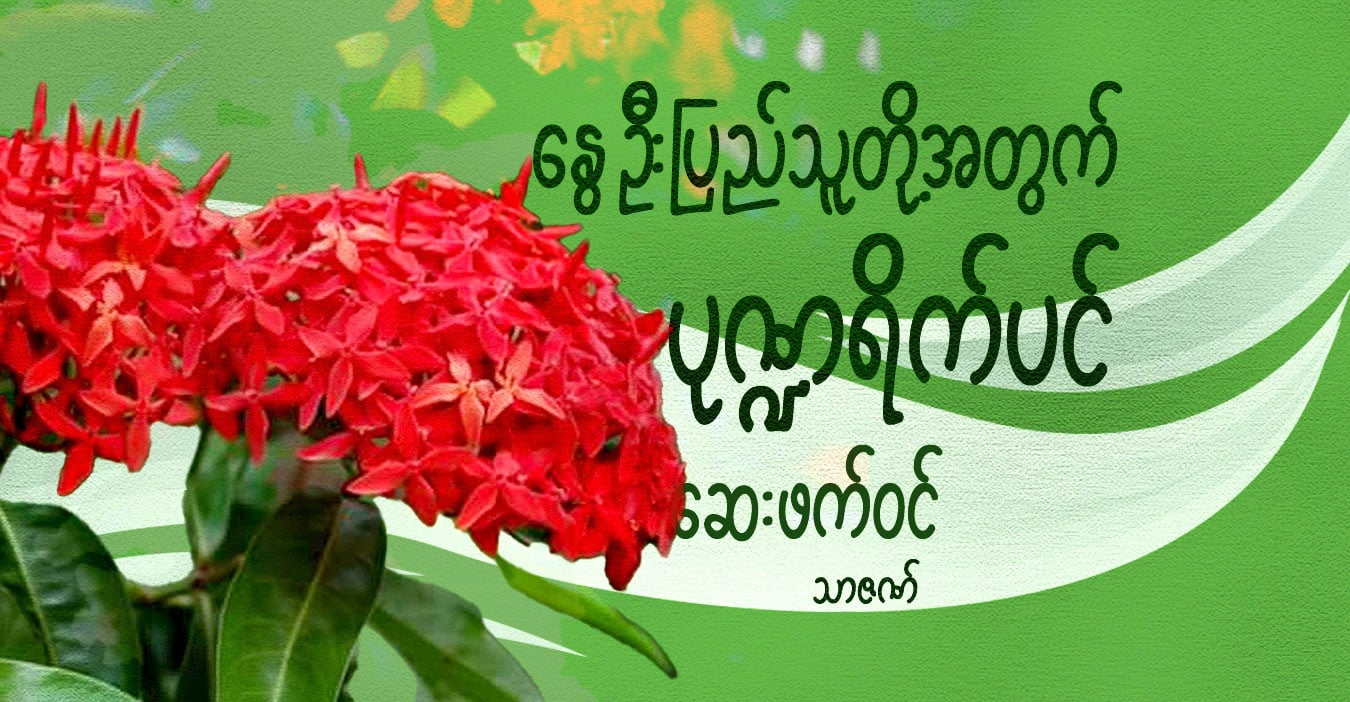 နွေဦးပြည်သူတို့အတွက် ပုဏ္ဍရိက်ပင် ဆေးဖက်ဝင်