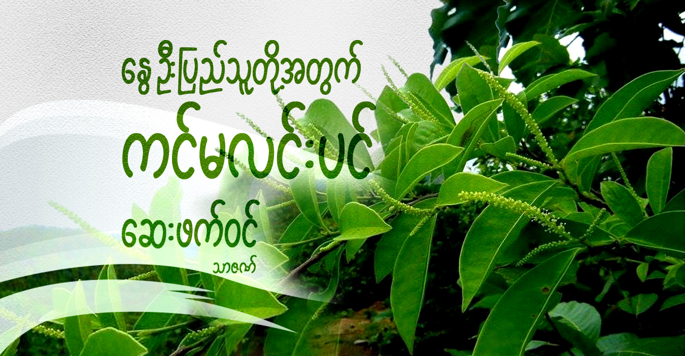 နွေဦးပြည်သူတို့အတွက် ကင်မလင်းပင် ဆေးဖက်ဝင်