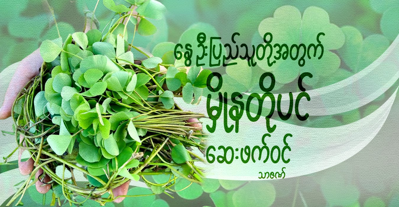 နွေဦးပြည်သူတို့အတွက် မှိုနတိုပင် ဆေးဖက်ဝင်