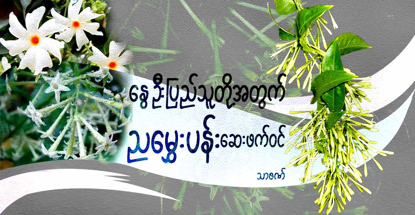 နွေဦးပြည်သူတို့အတွက် ညမွှေးပန်းပင် ဆေးဖက်ဝင်