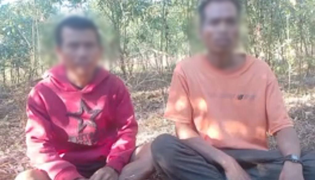 PNO ပြည်သူ့စစ်က ပအိုဝ်းလူမျိုးများကို လူသားဒိုင်းအဖြစ် ရှေ့တန်းတက်ခိုင်းနေ