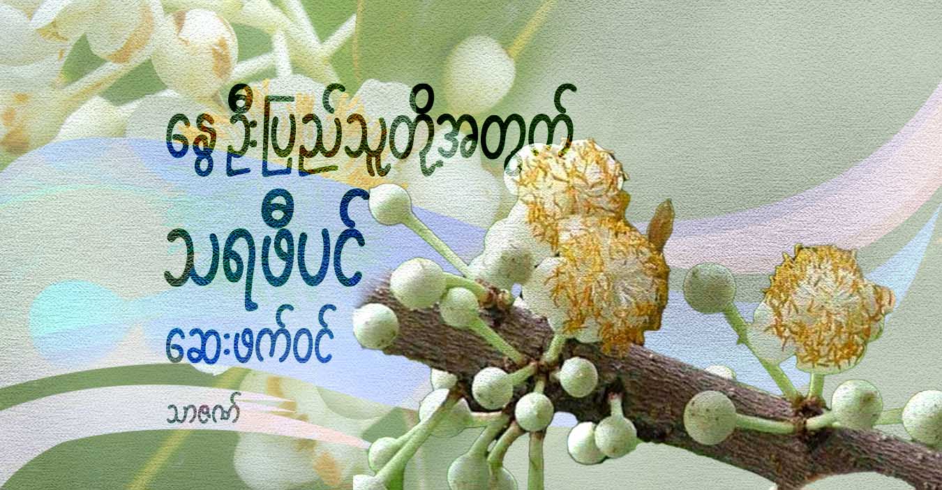 နွေဦးပြည်သူတို့အတွက် သရဖီပင် ဆေးဖက်ဝင်