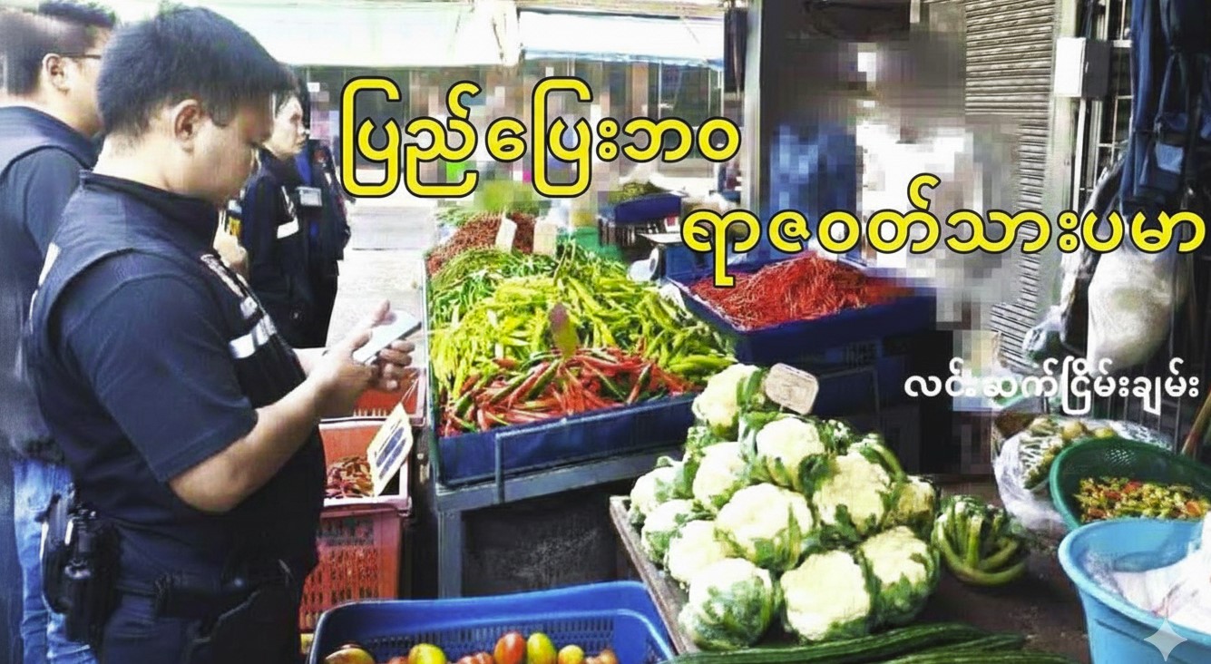 ပြည်ပြေးဘဝ ရာဇဝတ်သားပမာ