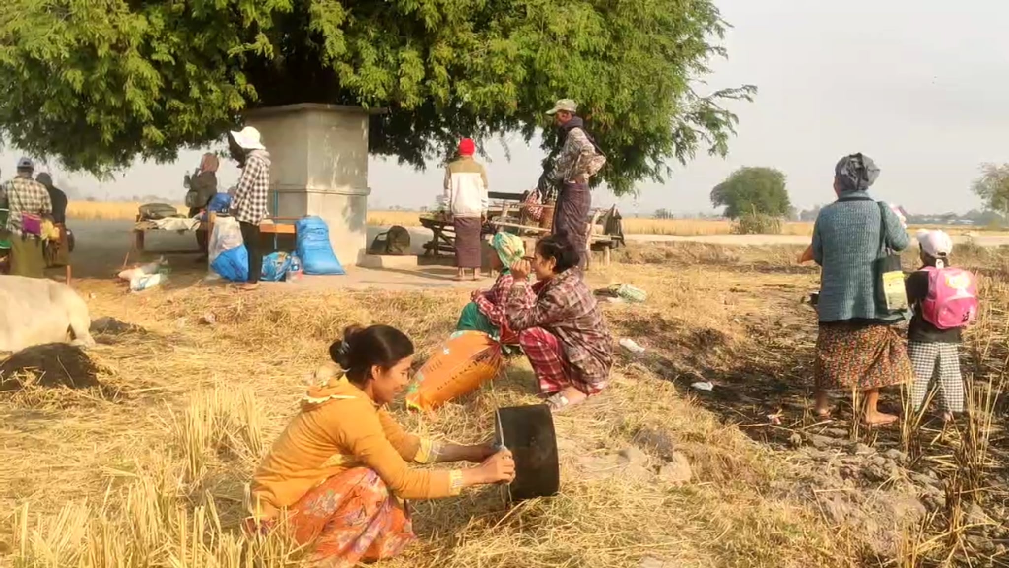 ဆုံးရှုံးမှုများကြားက ၅ နှစ်ကြာ တောင့်ခံနေဆဲ မြန်မာအမျိုးသမီးများ