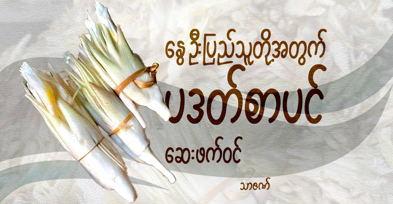 နွေဦးပြည်သူတို့အတွက် ပဒတ်စာပင် ဆေးဖက်ဝင်