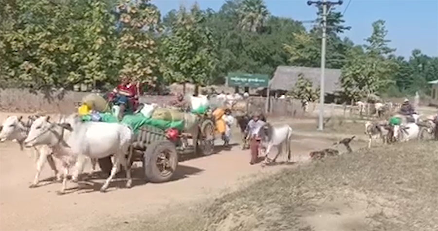 ဝက်လက်မြို့နယ်၌ စစ်တပ်စစ်ကြောင်းထိုးနေသဖြင့် ဒေသခံထောင်ချီ ထပ်မံစစ်ရှောင်နေရ