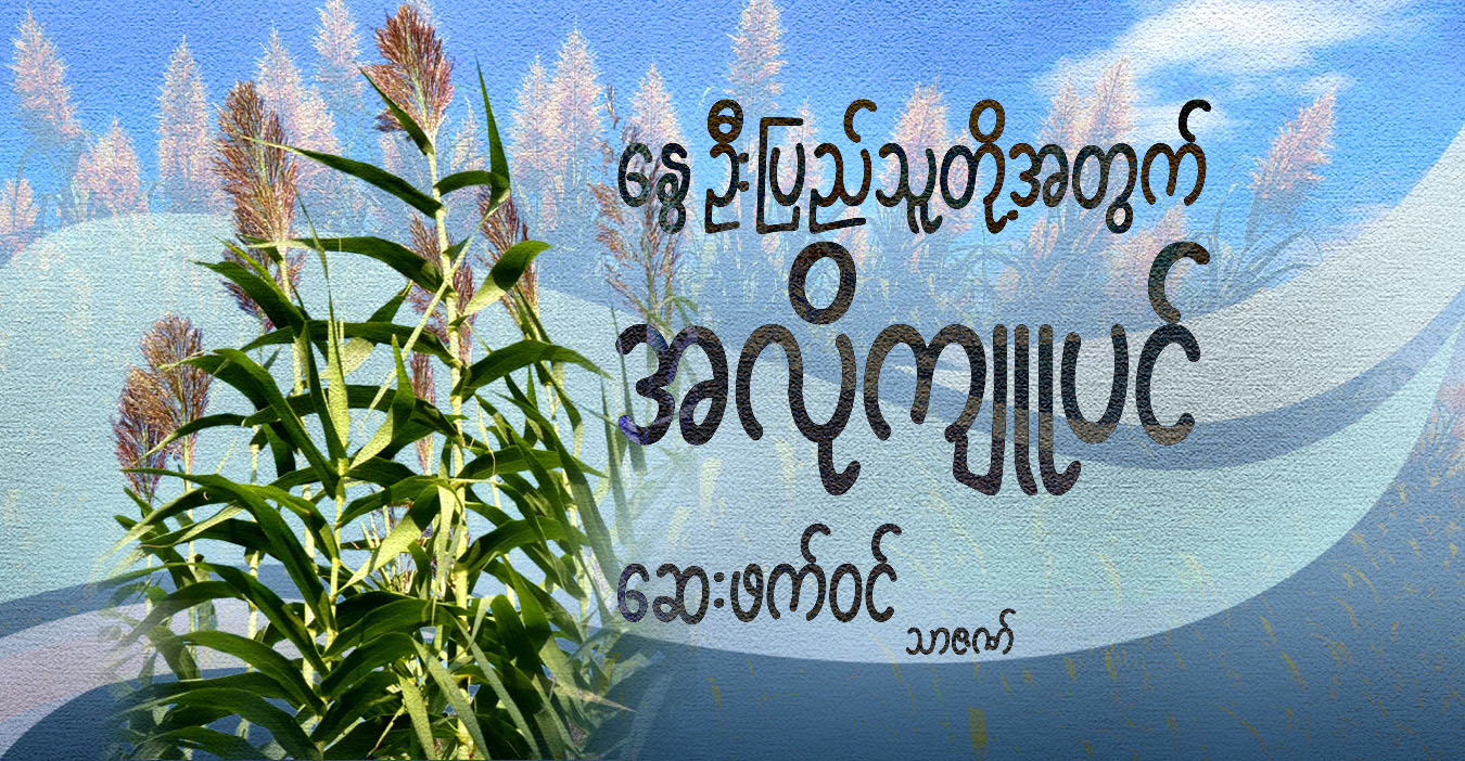 နွေဦးပြည်သူတို့အတွက် အလိုကျူပင် ဆေးဖက်ဝင်