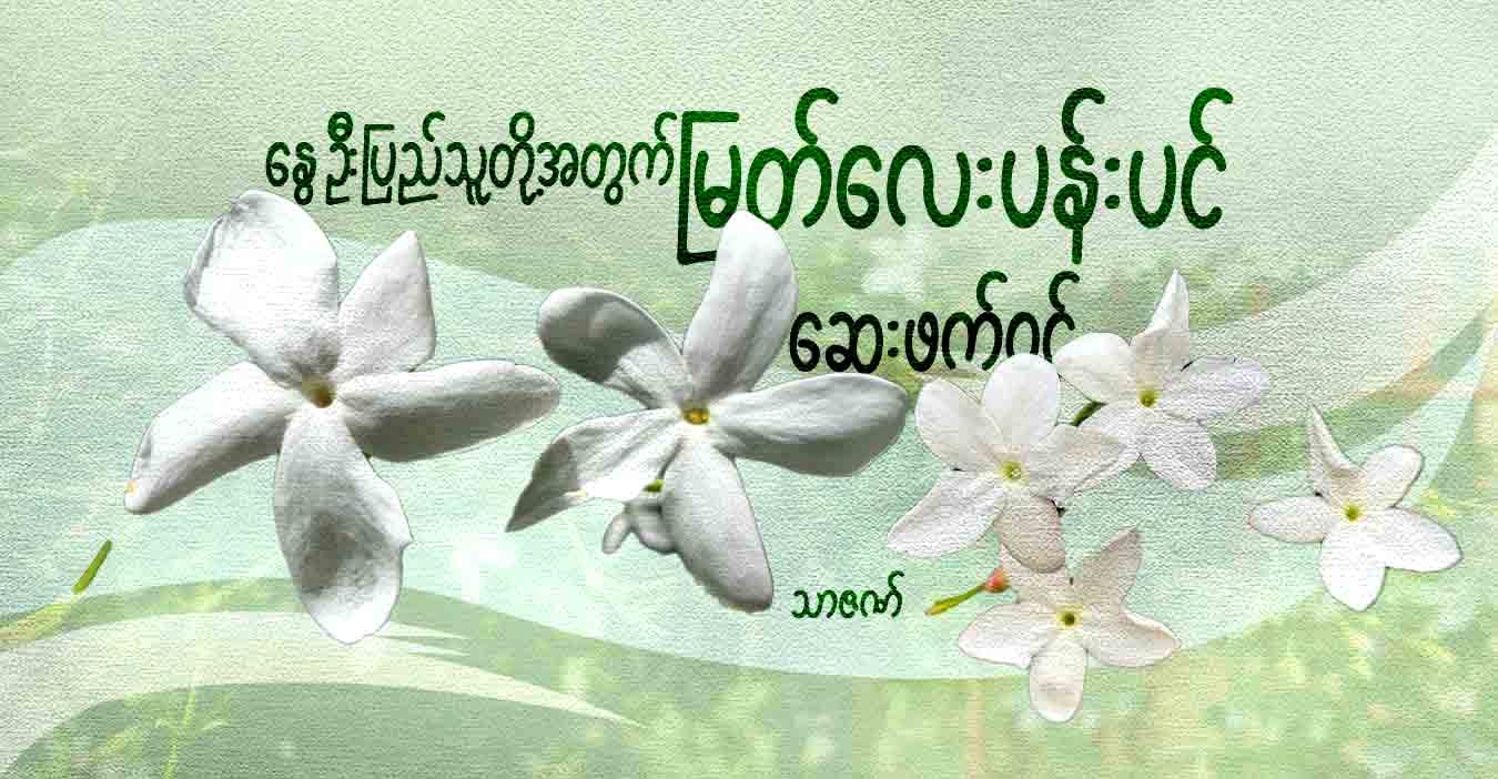 နွေဦးပြည်သူတို့အတွက် မြတ်လေးပန်းပင် ဆေးဖက်ဝင်