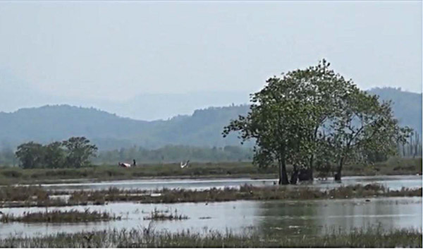 ေရျဖဴၿမိဳ႕နယ္ ကၽြဲသုံးညီမေက်းရြာအုပ္စု ေရငန္၀င္ေရာက္မႈေၾကာင့္ လယ္ေျမမ်ားပ်က္စီး