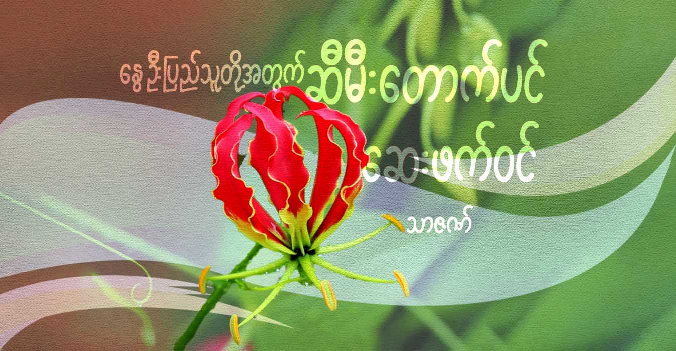 နွေဦးပြည်သူတို့အတွက် ဆီမီးတောက်ပင် ဆေးဖက်ဝင်