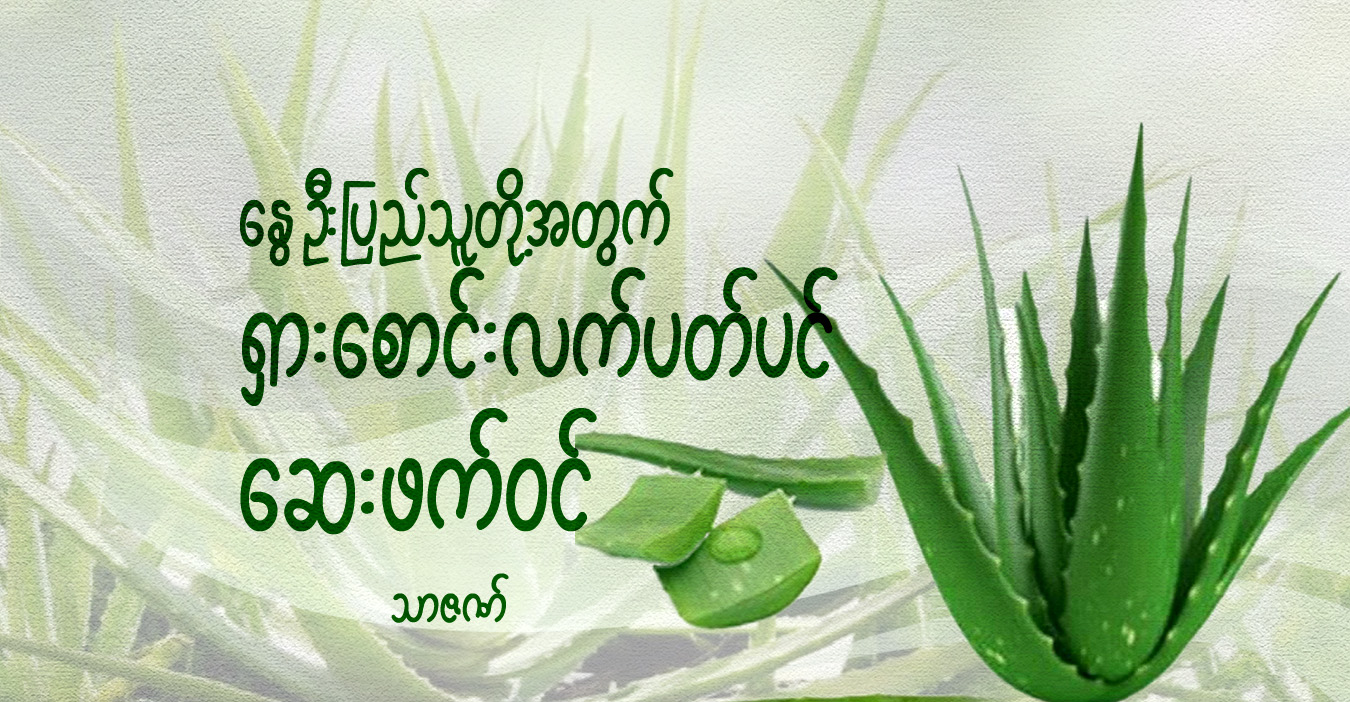 နွေဦးပြည်သူတို့အတွက် ရှား‌စောင်းလက်ပတ်ပင် ဆေးဖက်ဝင် 