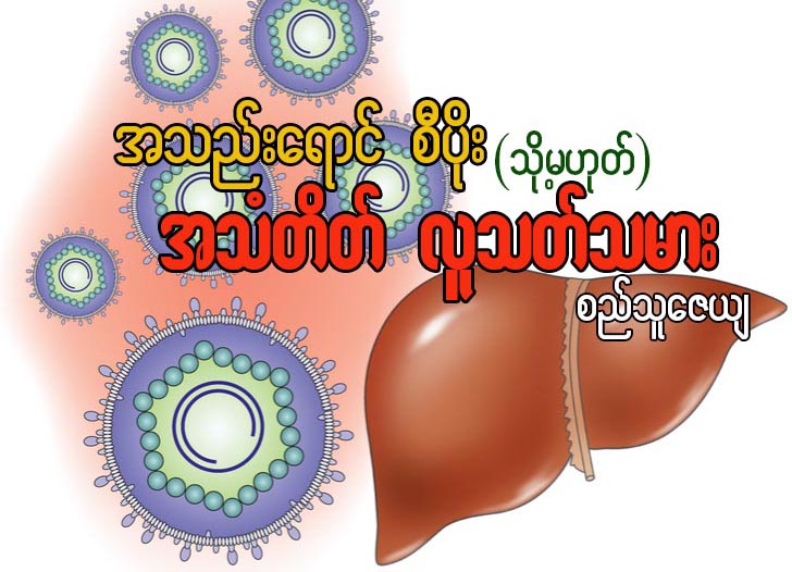 အသည္းေရာင္ စီပိုး (သို႔မဟုတ္) အသံတိတ္ လူသတ္သမား
