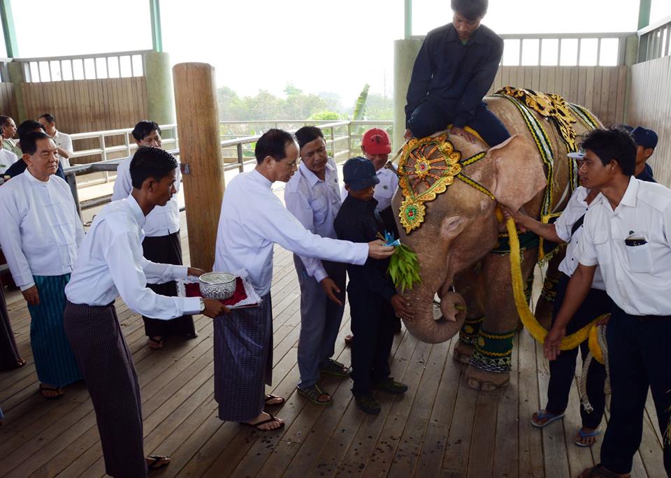 ေနျပည္ေတာ္ေရာက္ဆင္ျဖဴကို  ႀကိဳေနသည့္ ဒုသမၼတ (သတင္း ဓာတ္ပုံ)