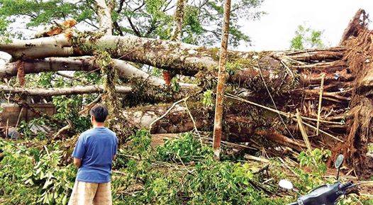 တာခ်ီလိတ္တြင္ ေလျပင္းမ်ားတိုက္ခတ္ ၁ ဦးေသ ၆ ဦး ဒဏ္ရာရ