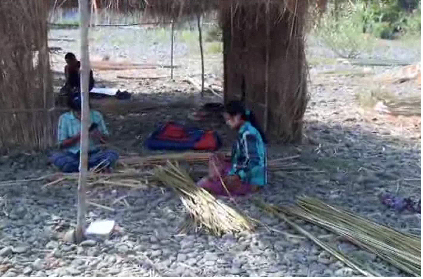 ဧရာ၀တီ အေနာက္ဘက္ကမ္းတြင္ ၀ါးမ်ား ရွားပါးလာ