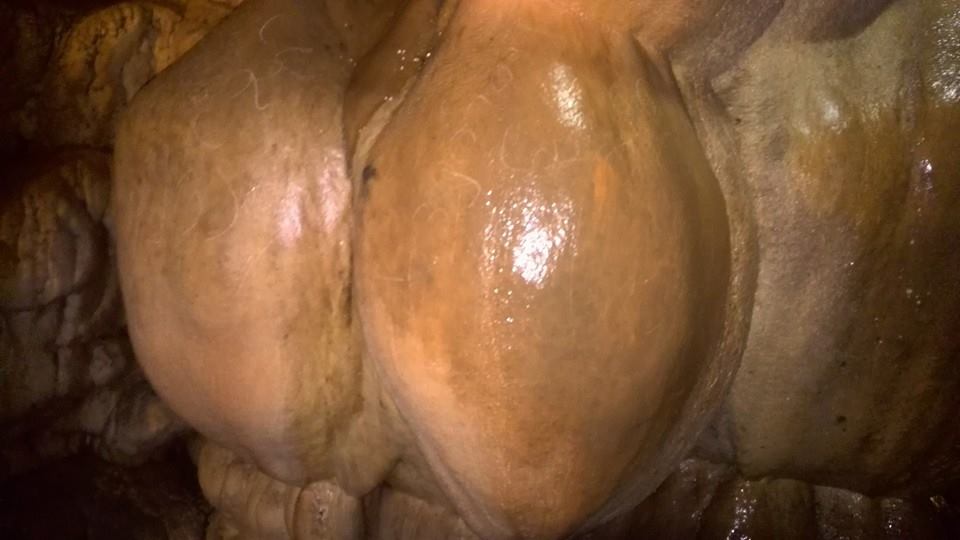 Thumbnail 22
