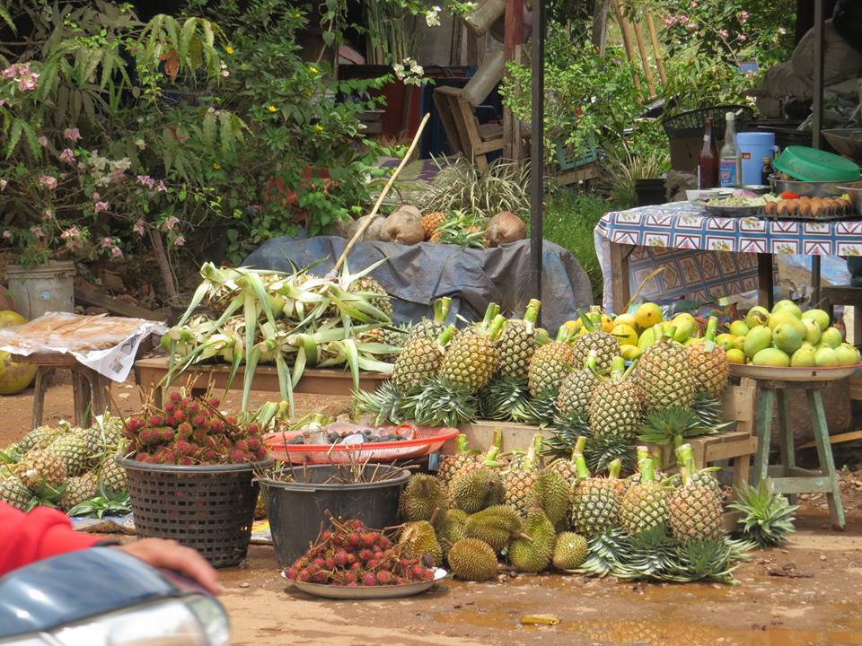 ထား၀ယ္ရာသီစာ (ဓာတ္ပုံ)