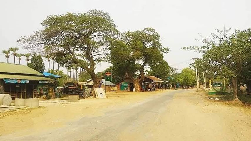 ရွှေဘိုညောင်ပင်လမ်း (Photo : CJ)