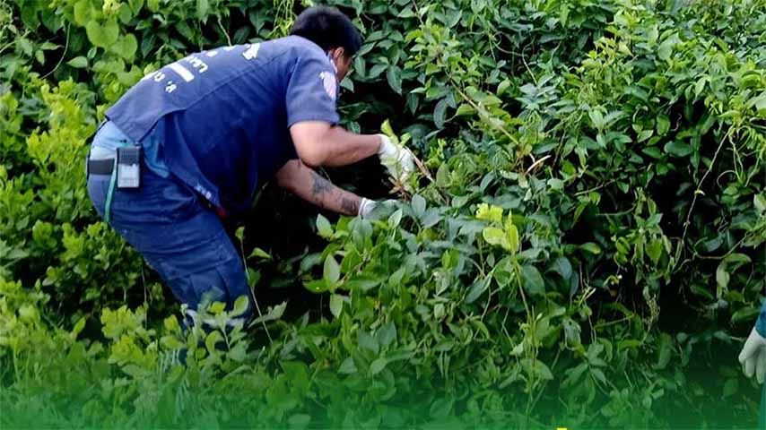 ထိုင်းတွင် အသတ်ခံထားရသော  မြန်မာအလုပ်သမားအလောင်း တွေ့ရှိ 