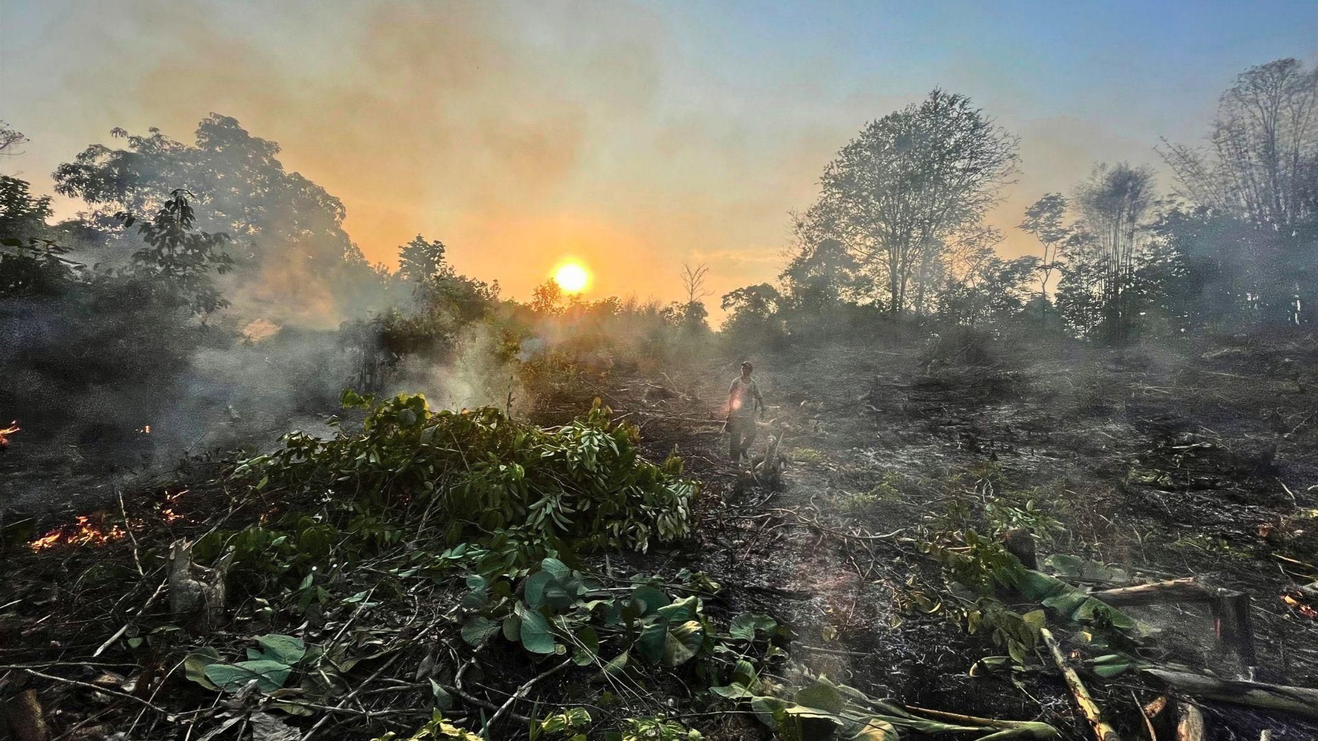 ရန်ကုန်မြောက်ပိုင်းတွင် သစ်တောကုန်သလောက်နီးနီး ပြုန်းတီး