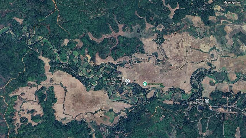 Photo: google map