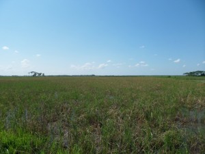 SAM_0800